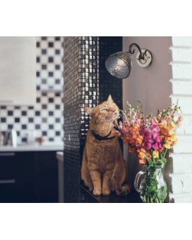 Бра DeMarkt 463021901-foto4