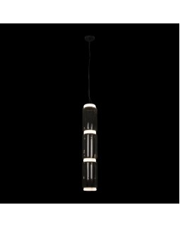 Подвесной светильник LOFT IT 10194/L-foto2