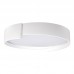 Накладной светильник LOFT IT 10200 White