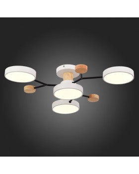 Люстра на штанге Evoluce SLE6006-502-04-foto7
