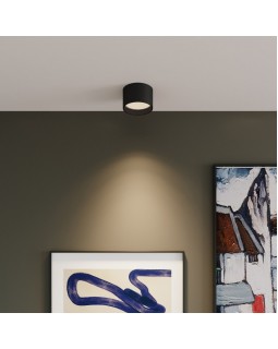 Накладной светильник Elektrostandard Banti 13W черный (25123/LED)-foto4