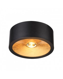 Накладной светильник Odeon Light 6669/1CL-foto3