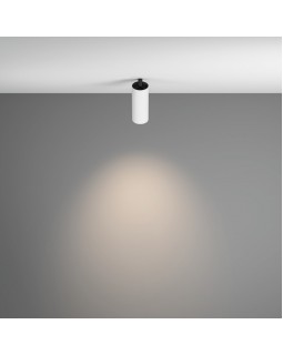 Спот Maytoni Technical C053CL-L12W4K-W-W-foto4
