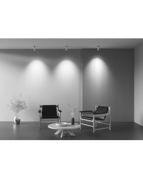 Спот Maytoni Technical C053CL-L12W4K-W-W-foto7