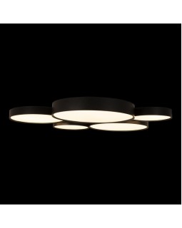 Накладной светильник LOFT IT 10218 Black-foto2