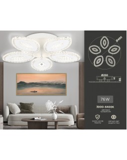 Накладной светильник Ambrella Light FA4015-foto3