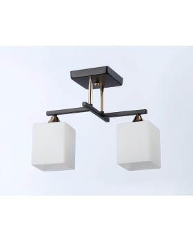 Накладной светильник Ambrella Light TR303112-foto3