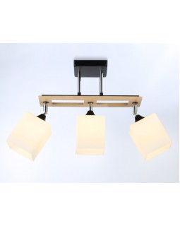 Накладной светильник Ambrella Light TR9507-foto2