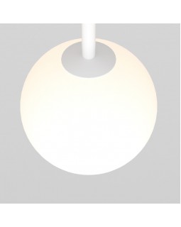 Светильник на шине Maytoni Technical TR038-2-5W3K-W-foto2