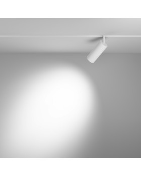 Светильник на шине Maytoni Technical TR032-4-12WTW-S-DD-W-foto4