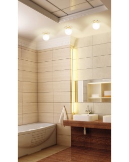 Влагозащищенный светильник Novotech 369976-foto3