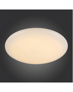 Накладной светильник ST-Luce SL875.062.01-foto2