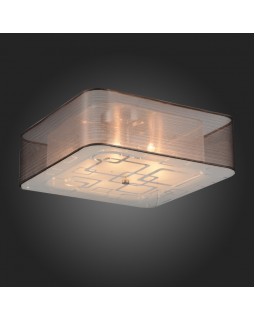 Накладной светильник ST-Luce SL940.802.06-foto2