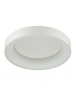 Накладной светильник Odeon Light 4062/50CL-foto2