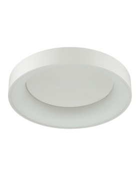 Накладной светильник Odeon Light 4062/50CL-foto2