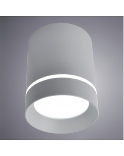 Накладной светильник ARTE Lamp A1909PL-1GY-foto2