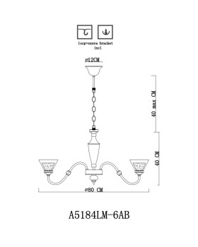 Подвесная люстра ARTE Lamp A5184LM-6AB-foto6