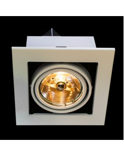 Встраиваемый светильник ARTE Lamp A5930PL-1WH-foto2