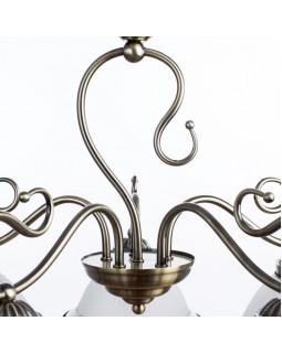 Подвесная люстра ARTE Lamp A6276LM-5AB-foto3