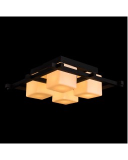 Накладной светильник ARTE Lamp A8252PL-4CK-foto2