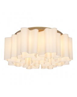 Накладная люстра Lightstar 802095-foto3