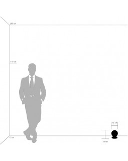 Настольная лампа Lightstar 813914-foto3