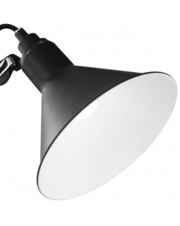 Настольная лампа Lightstar 765927-foto4