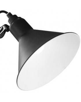 Настольная лампа Lightstar 765927-foto4