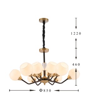 Подвесная люстра Favourite 2550-12P-foto3