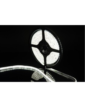 Лента SWG SWG3120-12-9.6-W-65-foto4