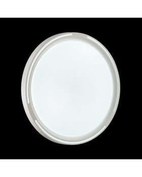 Накладной светильник Sonex 3010/DL-foto2