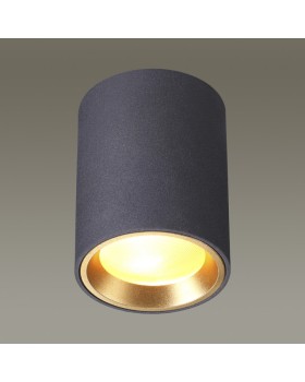 Накладной светильник Odeon Light 4205/1C-foto2