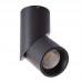 Накладной светильник ARTE Lamp A7717PL-1BK