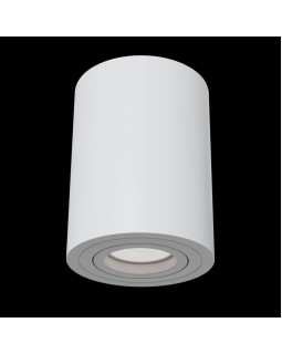 Накладной светильник Maytoni Technical C016CL-01W-foto2