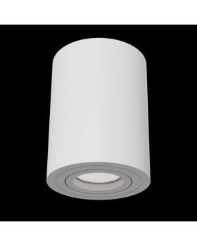 Накладной светильник Maytoni Technical C016CL-01W-foto2