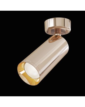 Спот Maytoni Technical C017CW-01RG-foto2