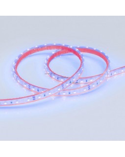 Лента Arlight 013393-foto2