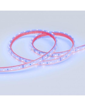 Лента Arlight 013393-foto2