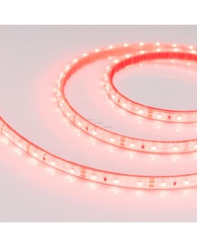 Лента Arlight 013394-foto2