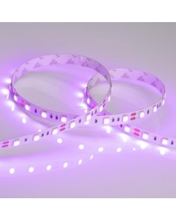 Лента Arlight 015975-foto2