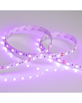 Лента Arlight 015975-foto2