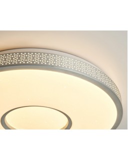 Накладной светильник Ambrella Light FF81-foto6