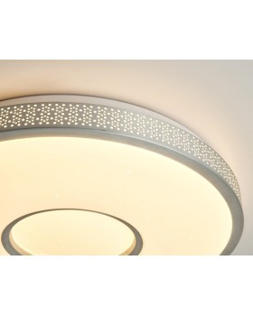 Накладной светильник Ambrella Light FF81-foto6