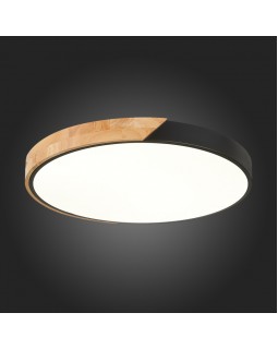 Накладной светильник Evoluce SLE200942-01-foto2