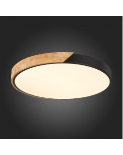 Накладной светильник Evoluce SLE200942-01-foto3