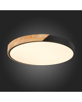 Накладной светильник Evoluce SLE200942-01-foto3