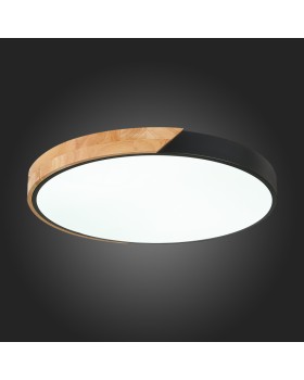 Накладной светильник Evoluce SLE200942-01-foto4