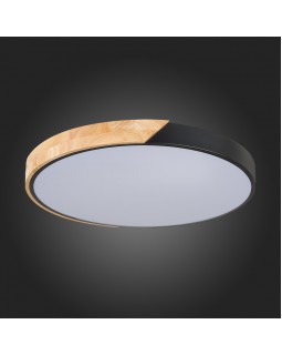 Накладной светильник Evoluce SLE200942-01-foto5