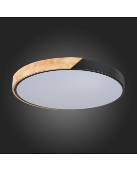 Накладной светильник Evoluce SLE200942-01-foto5