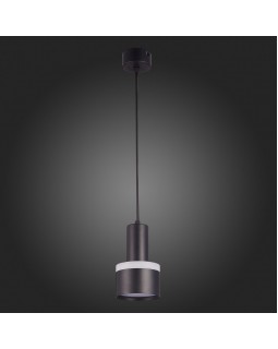 Подвесной светильник ST-Luce ST102.443.12-foto3